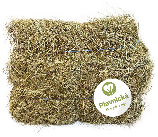 Balík sena Plavnická